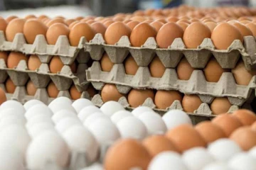 அதிக விலைக்கு முட்டை விற்பனை செய்தவருக்கு நேர்ந்த கதி!