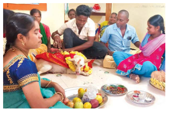 என்னது நாய்க்கு வளைகாப்பு நிகழ்ச்சியா? மனிதநேயத்தின் உச்சக்கட்ட கொண்டாட்டம் | Baby Shower Function In Dog