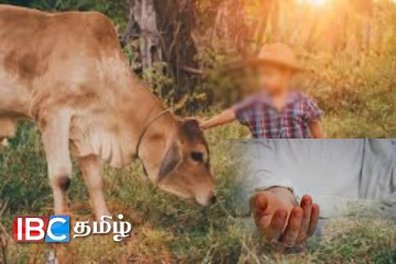 பசுமாட்டுடன் விளையாடிய சிறுவனுக்கு நேர்ந்த துயரம்