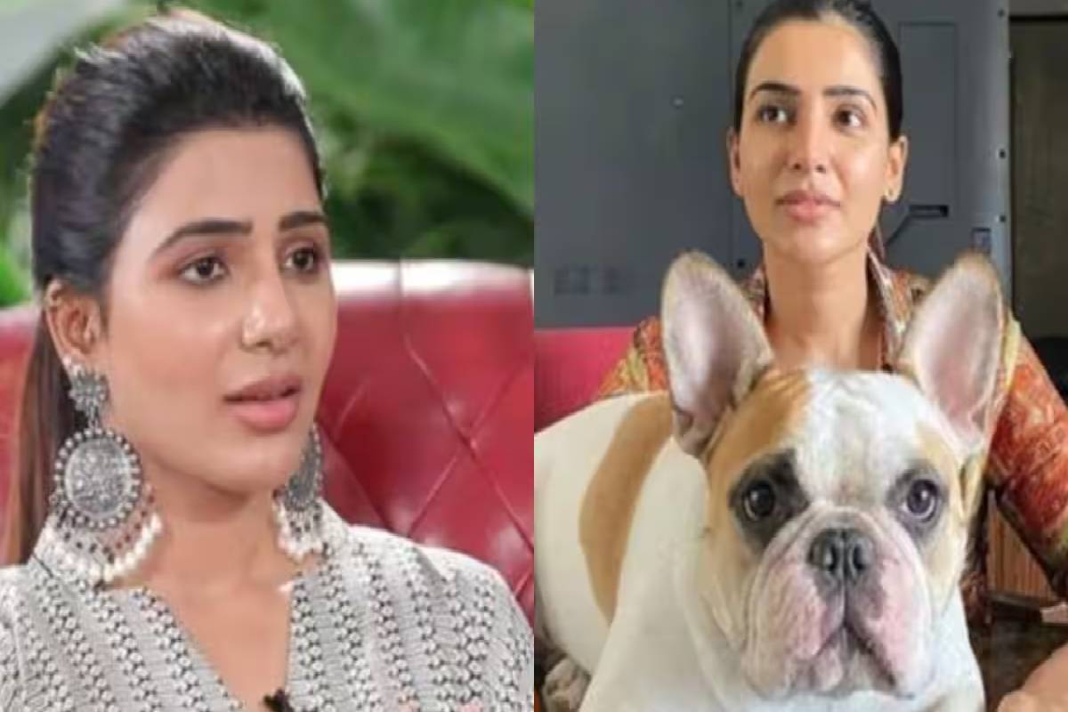 அசைவம் சாப்பிடுவதை நிறுத்திய சமந்தா! அட இது ஒரு காரணமா? | Actress Samantha Gets Trolled For Vegan Lifestyle அசைவம் சாப்பிடுவதை நிறுத்திய சமந்தா! அட இது ஒரு காரணமா? | Actress Samantha Gets Trolled For Vegan Lifestyle