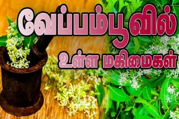 பங்குனி மாதத்தின் வேப்பம்பூவின் அபூர்வமான அதிசயங்களை அறிந்ததுண்டா...!