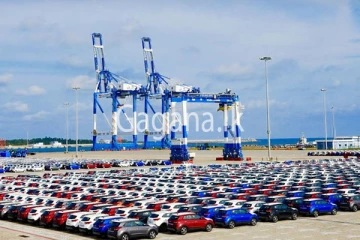 මෙරටට වාහන ගෙන්වන්නේ විශේෂ පිරිසකට පමණයි.