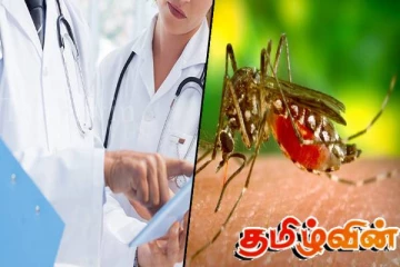 டெங்கு நோயாளிகளுக்கு, சிக்கன்குனியா சிகிச்சை தவறாக வழங்கப்பட்டால் உயிருக்கு ஆபத்தானது- சுகாதார அதிகாரிகள்