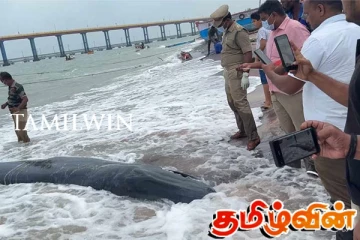 இராமேஸ்வரம் அருகே கரை ஒதுங்கிய இராட்சத திமிங்கலம்