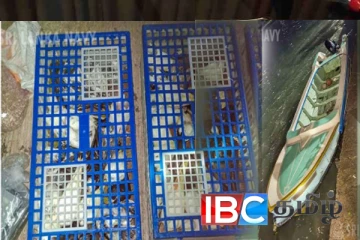 வெளிநாட்டிலிருந்து கடல் வழியாக கொண்டுவரப்பட்ட நூற்றுக்கும் மேற்பட்ட பறவைகள் சிக்கின