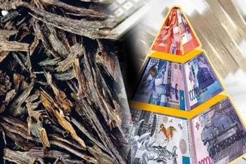 இலங்கையில் மற்றுமொரு பெருந்தொகை பணமோசடி: ஏமாற்றப்பட்டுள்ள ஆயிரக்கணக்கானோர்