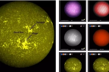 சூரியனை படம் பிடித்த ஆதித்யா எல்-1 - புகைப்படங்களை வெளியிட்டது இஸ்ரோ