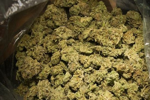 இலங்கையில் சிக்கிய 1,227 கிலோ கிராம் கஞ்சா! | 1 227 Kilograms Of Cannabis Caught In Sri Lanka