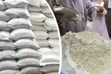 கோதுமை மா இறக்குமதிக்கு அரசாங்கம் விதித்த தடை - எழுந்துள்ள குற்றச்சாட்டுகள்
