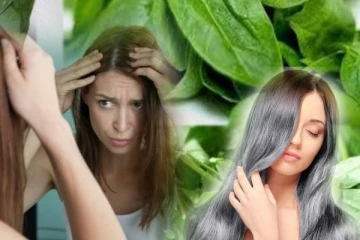 இளநரை படாய்படுத்துதா...? கவலை வேண்டாம்- இதை சாப்பிட்டால் போதும்