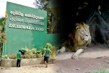 தெகிவளை மிருகக்காட்சி சாலையை மூடுமாறு வலியுறுத்தல் - செய்திகளின் தொகுப்பு