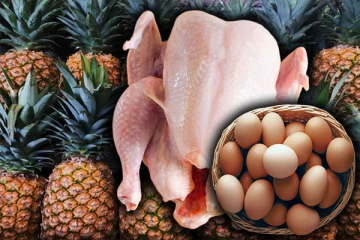 கோழி இறைச்சி உற்பத்தியாளர்களுக்கு வெளியான தகவல்