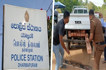 கிளிநொச்சியில் சூட்சுமமான முறையில் மேற்கொள்ளப்பட்ட மரக்கடத்தல் முறியடிப்பு!