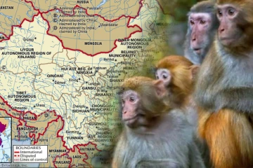 மங்கி பி வைரஸ்: சீனாவில் ஒருவர் பலி - புதிதாக வெளிவந்துள்ள தகவல்