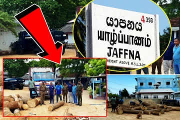 சட்டவிரோதமாகக் கடத்தப்பட்ட பெருமளவு முதிரை மரக்குற்றிகள் மீட்பு!