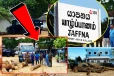 சட்டவிரோதமாகக் கடத்தப்பட்ட பெருமளவு முதிரை மரக்குற்றிகள் மீட்பு!