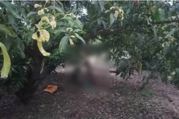 மனைவியால் குழந்தைகளை கொன்று விட்டு தூக்கில் தொங்கிய கணவன்! வீடியோவை பார்த்து அதிர்ந்து போன உறவினர்கள்