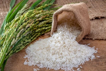 அதிக விலைக்கு அரிசி விற்ற வர்த்தகருக்கு அபராதம்