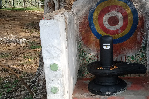 கைவிடப்பட்ட இராணுவ முகாமின் வழிபாட்டிடத்தில் சிவலிங்கம் | Sivalingam At Shrine Of An Abandoned Military Camp