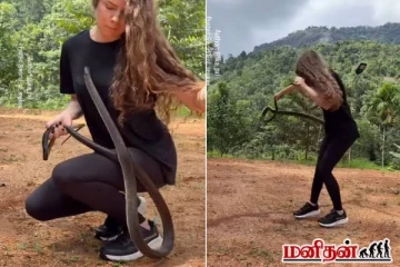 பெண்ணை ஆக்குரோஷமாக தாக்கும் Black mamba பாம்பு... பதறவைக்கும் வைரல் காணொளி!
