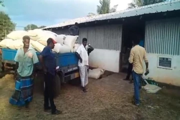 வவுனியாவில் உத்தரவாத விலையில் நெல் கொள்வனவு நடவடிக்கைகள் நான்கு நிலையங்களில் ஆரம்பம்