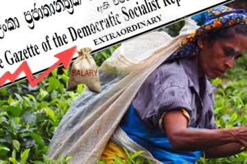 பெருந்தோட்ட தேயிலை தொழிலாளர்களின் நாளாந்த கொடுப்பனவு அதிகரிப்பு