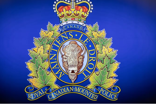 பிரிட்டிஷ் கொலம்பியாவில் நிதி மோசடியில் ஈடுபட்ட பெண்ணுக்கு தண்டனை | Bc Woman Sentenced To 18 Months In Jail