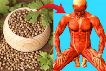 காலையில் வெறும் வயிற்றில் கொத்தமல்லித் தண்ணீர் குடிப்பதன் பயன் இவவளவா?