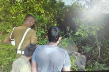 திருகோணமலையில் மின்சாரம் தாக்கி பரிதாபமாக உயிரிழந்த காட்டு யானை!