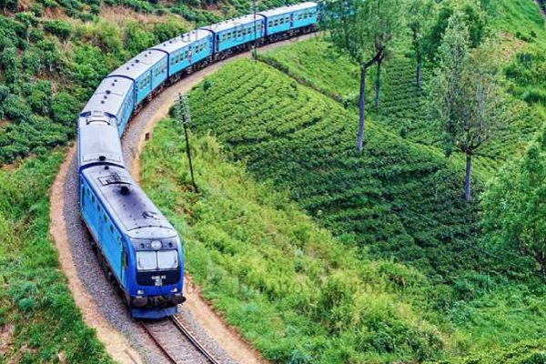 இலங்கையில் ரயில்களுக்கு பதிலாக பேருந்துகள் சேவையில்! | Buses In Service Instead Of Trains In Sri Lanka