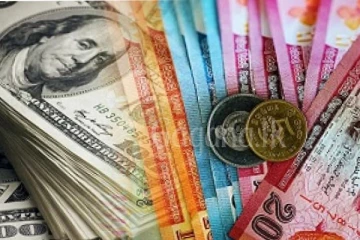 ඩොලරය යළි රුපියල් 400-450ක් වෙයි?.. විශේෂ පුද්ගලයෙකුගෙන් දැනුම්දීමක්.(VIDEO)