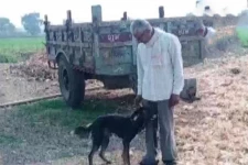 செல்ல நாய் பெயரில் 9 ஏக்கர் நிலத்தை எழுதி வைத்த நபர்: அவர் சொன்ன காரணம்