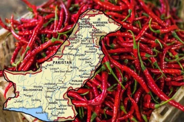 இலங்கையிலிருந்து பாகிஸ்தானுக்கு திருப்பி அனுப்பபட்ட மிளகாய்