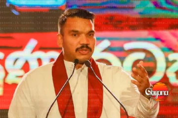 කනේ ඇගිලි ගහගන්න නාමල් ආණ්ඩුවට දෙහි කපයි