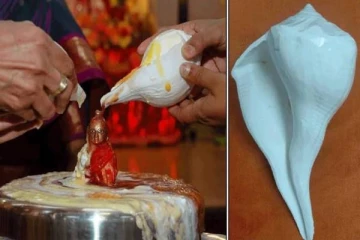 வீட்டில் செல்வம் குவிக்கும் வலம்புரி சங்கு- இப்படி வழிபாடு செஞ்சி பாருங்க