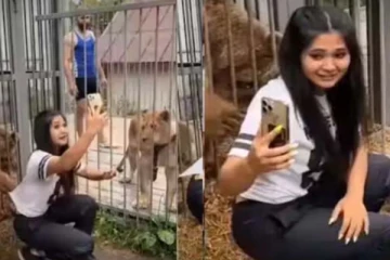 சிங்கத்துடன் செல்பியா கேட்குது? இளம்பெண்ணிற்கு கரடி காட்டிய மரண பயம்