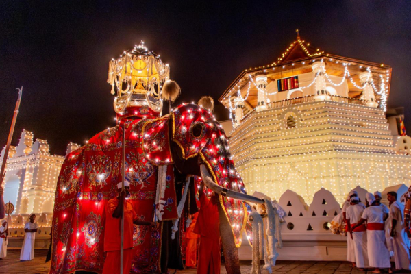 கண்டி எசல பெரஹெராவில் பங்கேற்ற ஜனாதிபதி அனுர | President Anura In The Kandy Esala Perahera கண்டி எசல பெரஹெராவில் பங்கேற்ற ஜனாதிபதி அனுர | President Anura In The Kandy Esala Perahera