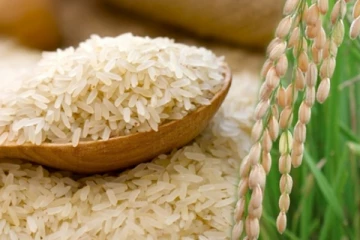 වෙළදපොළට නිකුත් වුන අලුත්ම සහල් - ලබාගත හැකි ස්ථානත් නම් කෙරේ..