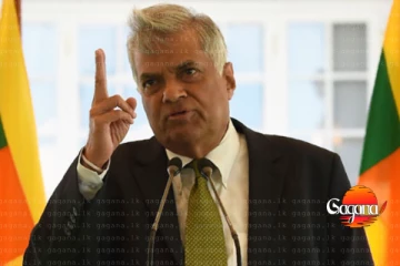 කාලෙකට පස්සේ රනිල් ලුණු ඇඹුල් ඇතුව අමතයි