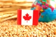 உலகின் 3-வது பாரிய கோதுமை ஏற்றுமதியாளர்! கனடா தொடர்ந்து முன்னேற்றம்
