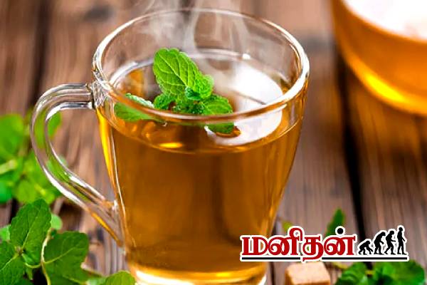 பால் டீ Vs துளசி டீ இரண்டில் எது சிறந்தது? | Drinking Tulsi Benefits In Tamil