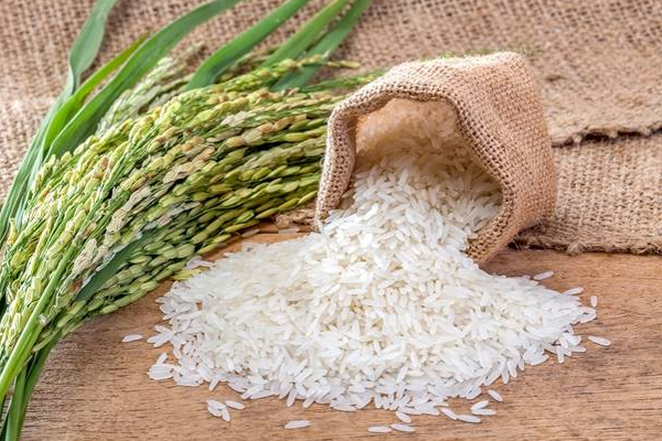 அரிசி விலை தொடர்பில் வெளியான தகவல்! | Information Released Regarding Rice Prices