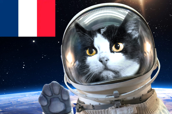 Félicette first cat in space, France space mission 1963, feline astronaut history, Félicette spaceflight facts, animal space missions timeline, Veronique AGI 47 rocket cat, Félicette space statue France, space animals before humans, forgotten space heroes, Félicette mission legacy