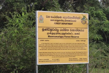 காணிகள் எல்லைக்கல்லிடல் தொடர்பில் எட்டப்பட்ட தீர்மானம் மீறப்பட்டுள்ளதாக மக்கள் குற்றச்சாட்டு (Photo)