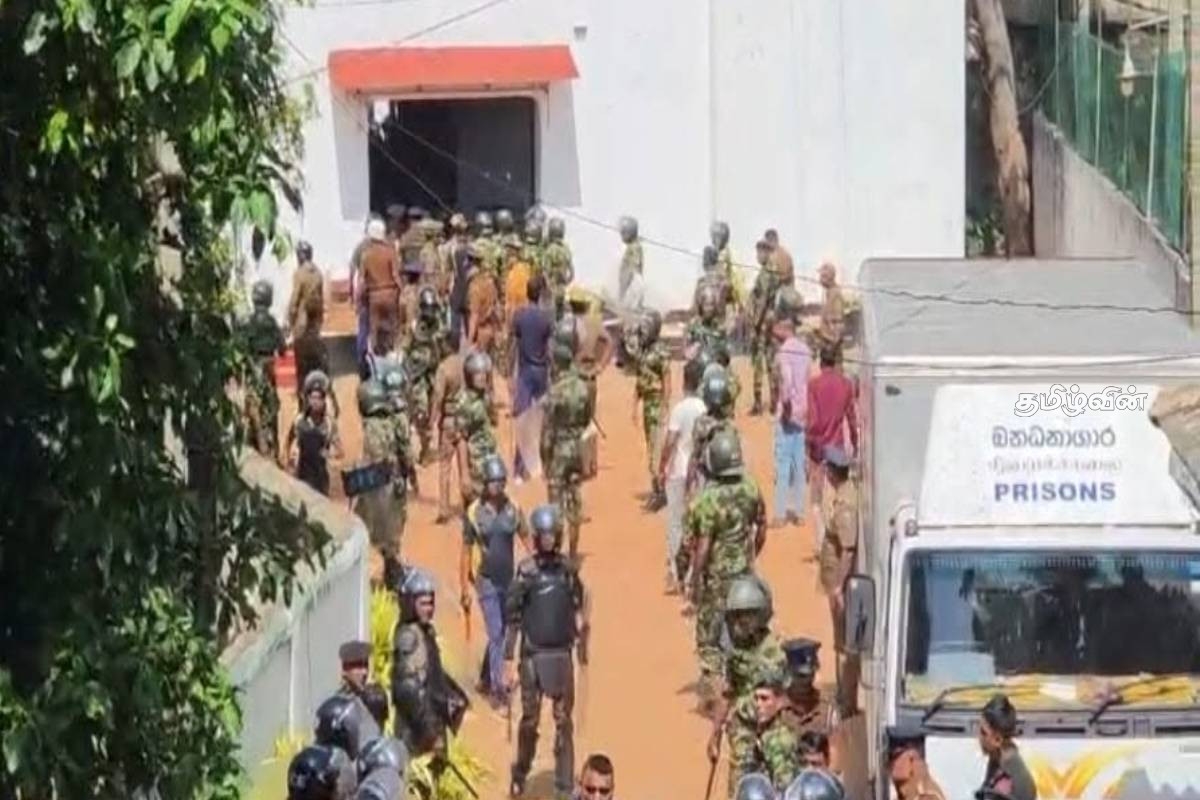 கைதிகளால் சிறைப்பிடிக்கப்பட்டுள்ள பொலிஸ் அதிகாரிகள்! மோசமாகும் நீர்கொழும்பு சிறையின் கள நிலவரம்.. | Negombo Prison Tens Situation கைதிகளால் சிறைப்பிடிக்கப்பட்டுள்ள பொலிஸ் அதிகாரிகள்! மோசமாகும் நீர்கொழும்பு சிறையின் கள நிலவரம்.. | Negombo Prison Tens Situation