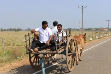 அரசாங்கத்தை கண்டித்து மாட்டு வண்டியில் பிரதேச சபை அமர்வுக்கு சென்ற பிரதேச சபை உறுப்பினர்கள்(Photos)