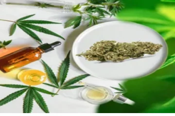 மருந்துக்கான கஞ்சா  ஏற்றுமதி :  நாடாளுமன்றத்தில் தகவல்