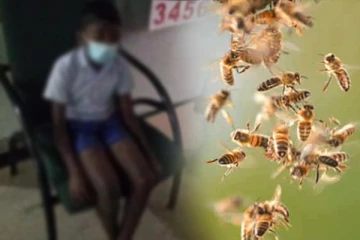 உயிர் தப்பிக்க தப்பிக்க ஓடிய பாடசாலை மாணவன் விழுந்து மரணம்