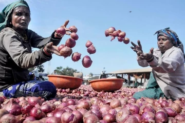 ஏறிய வேகத்தில் இறங்கிய வெங்காய விலை - ஆனால் மற்ற காய்கறி ரேட் பாருங்க..!