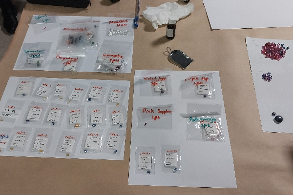 சீனாவிற்கு மாணிக்க கற்களை கடத்த முயன்ற இலங்கையர்கள் கைது | 2 Arrested For Attempting To Smuggle Gems To China